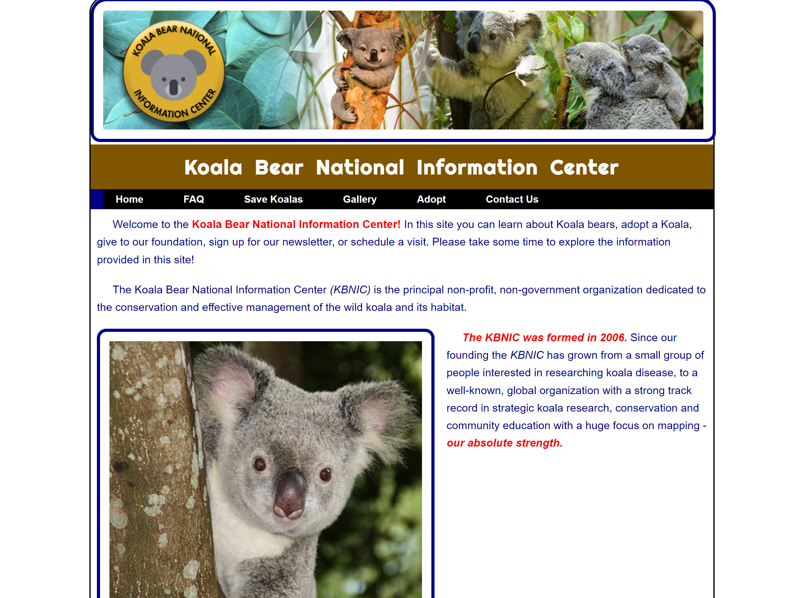 Koala Website